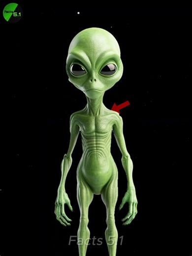 "Raat ko sky mein move hoti light dekhi? 😳 Ye alien nahi hai!" #facts #facts5.1 #amazingfacts