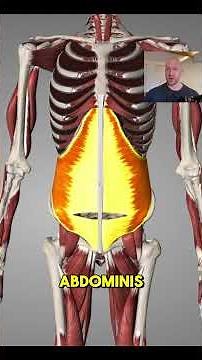 Anatomy of the Core - the different layers explained