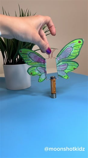 DIY Spinning Butterfly: Easy Homopolar Motor Project for Beginners