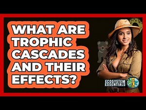 What Are Trophic Cascades And Their Effects? - Ecosystem Essentials