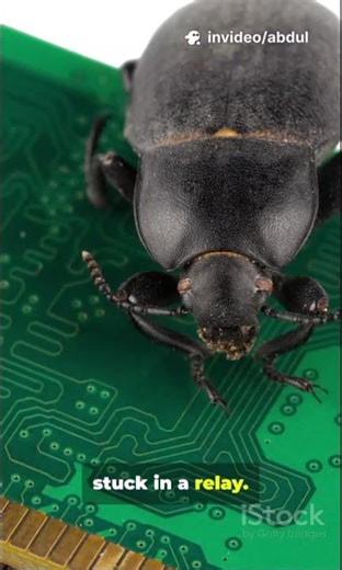 🐛 The First Computer Bug Was a Real Bug! 😂