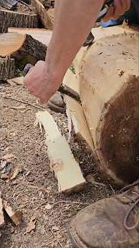 When to peel your logs? #woodworking #wood #maker #greenwood #tips #homesteading #carving #log