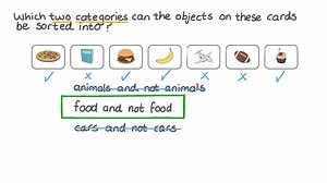 Classifying Objects into Given Categories