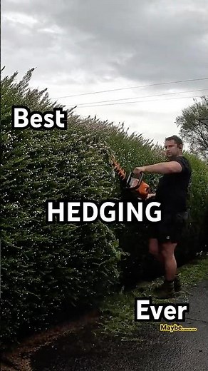 The Best hedge Trimming you will EVER see (maybe)