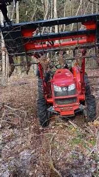 Rescuing an off grid cabin from hanging dead trees!