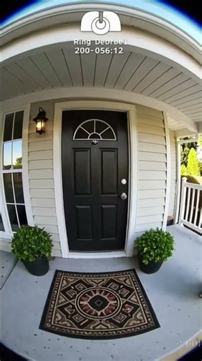 Funny elephant delivers parcels