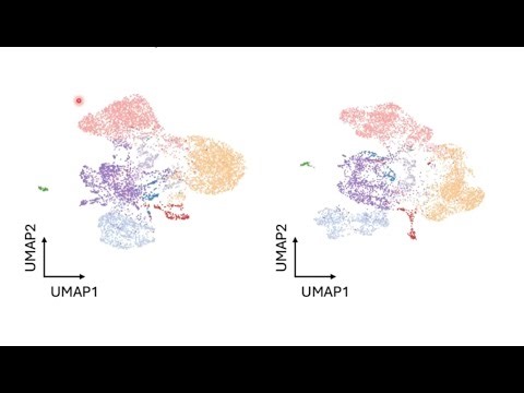Language Models in Spatial Omics: Benchmarking Zero Shot Abilities of scGPT spatial and Nicheformer
