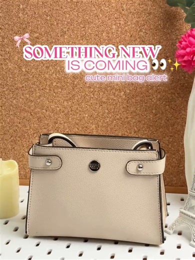 Introducing Our Adorable New Mini Bag!