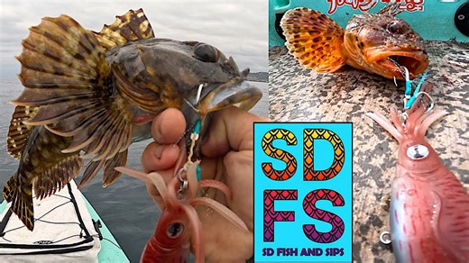 Nomad Squidtrex Variety Pack Fishing From Solo Skiff In San Diego