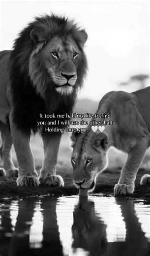 phoenix (@__the_risingphoenix)’s videos with original sound - phoenix