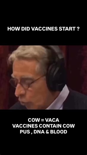 Bella on Instagram: "Did you know ? Influenza vaccine: What is mdck cell protein? Madin-Darby Canine Kidney Epithelial Cells (MDCK Line) is the first ingredient of the flu shot giving to millions. Madin-Darby Canine Kidney Epithelial Cells Derived by S. H. Madin and N. B. Darby are from the kidney tissue of an adult female cocker spaniel, the MDCK cell line originated in September 1958. DTaP-IPV/Hib (Pentacel) INGREDIENTS: aluminum phosphate, polysorbate 80, sucrose, formaldehyde, glutaraldehyde