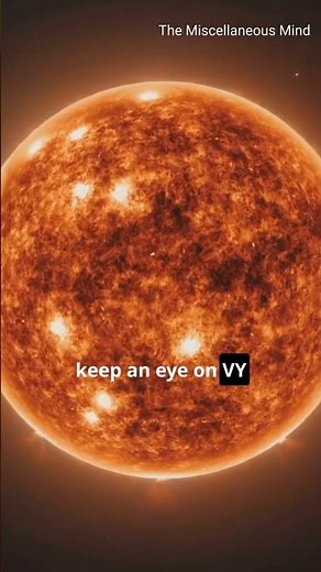 Meet VY CANIS MAJORIS: The Red Hyper Giant! #VYCanisMajoris #LargestStar #SpaceFacts #Astronomy