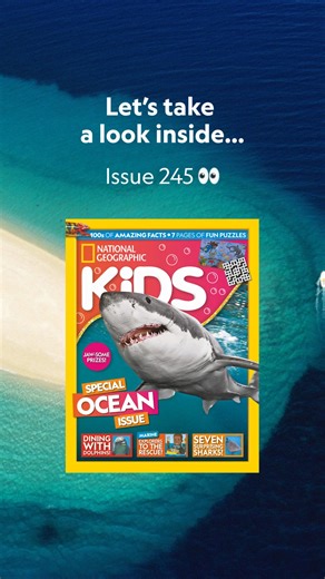 🌊 Here’s a sneak peek inside issue 245 of the Ocean Special from #NatGeoKids! 🌟📖 Meet 7 jaw-some shark species 🦈, discover how dolphins use tools and teamwork to hunt 🐬 and say hello to three brilliant Nat Geo Explorers, @novawest_creative, @nancyiraba_ and Greg O'Corry-Crowe studying sea life around the world 🌍🪸! You’ll also uncover 10 cool things about flowers, including one that looks like a monkey 🌸🐒! Get the #LatestIssue on sale now for deep sea discoveries, amazing animals and wil