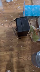 😸 all better meow ✨ #cleaning #housekeeper #maid #cats #kitty #catlady #clean #messy #disabled #cfs #cleaningmotivation #wednesdsy #catproblems #meow | Takes a Village Cleaning