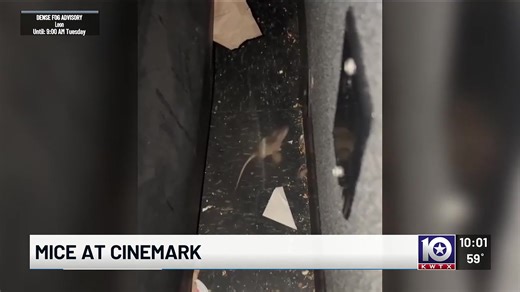 🐀MICE AT CINEMARK👀: The #Waco-McLennan County Public Health District has confirmed an open investigation into mice at the Cinemark theater in #Waco after multiple customers reported rodent encounters during movie screening. INFO: https://www.kwtx.com/2025/11/25/waco-cinemark-under-investigation-mice-after-customer-complaints/ | KWTX News 10