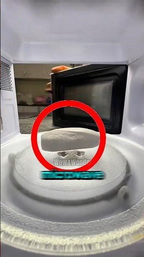 What Happens When You Microwave Soap? (Unexpected Reaction Caught on Camera)