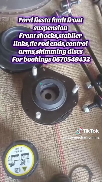 Lady mechanic mimz on TikTok