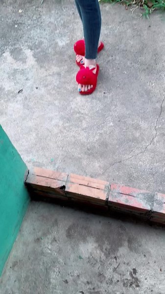 Interacting with My Fluffy Dog in Nature