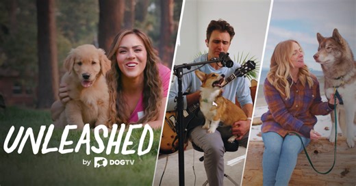 DOGTV Networks Launches 'Unleashed by DOGTV'