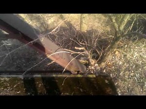 Middle Fork Wildcat Creek Bridge, Carroll County
