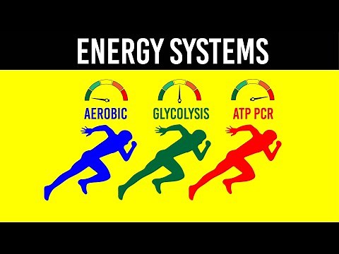 ENERGY SYSTEMS - Strength & Conditioning Essentials