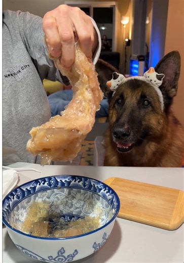 Soups for My Senior German Shepherd: A Month's Delicacies