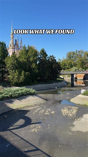 Discovering Hidden Treasures at Disney's Magic Kingdom