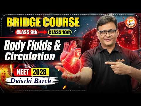 Body Fluids & Circulation Class 11 One Shot | All Concepts & Theory | 11th Bridge Course NEET 2028