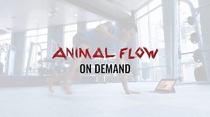 9.5K views · 168 reactions | Workout from home with Animal Flow®, the innovative movement program. With absolutely no equipment necessary, all you need is your body and some open space. Brand new Classes have been added with more to come and a brand new Flow of the Week every Monday! Start your FREE 7 day Animal Flow On Demand trial now! Subscribe today at OnDemand.AnimalFlow.com to lock in the special rate of $19.99 USD per month. | Animal Flow | Facebook