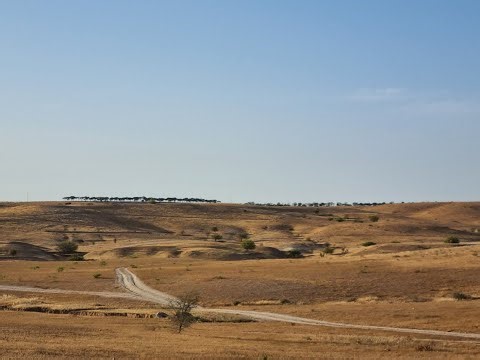 IAM Mission Federation First Time Prayer/Vice Leader: Nancy/20251229Mon