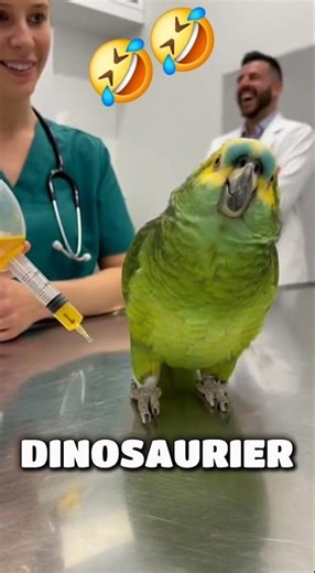 He knows exactly what's about to happen… 😳🦜