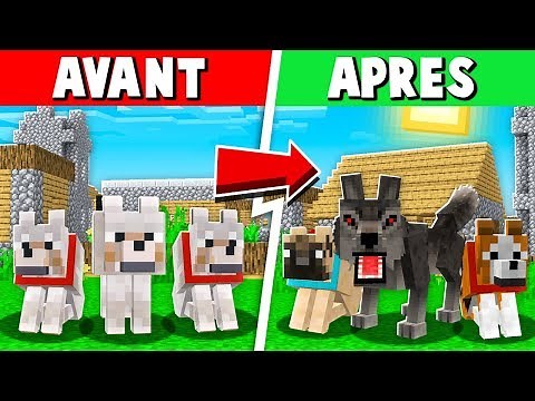 COMMENT AVOIR DES CHIENS RÉALISTES DANS MINECRAFT !