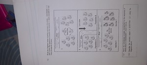 1.2 Study the diagrams below showing a process of evolution. DI... | Filo