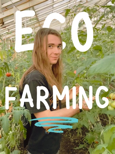 Sustainable farming isn’t just about growing food — it’s about protecting the land that feeds us. 🌱❄️ On our sustainable and eco-farming program in Iceland, volunteers learn practical skills that go far beyond the field. From soil care and composting to crop rotation, regenerative practices, and working in harmony with nature, every day is rooted in respect for the environment. This is hands-on learning shaped by one of the most powerful landscapes on Earth. Skills you can carry with you for a 