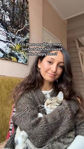 7.1K views · 9.9K reactions | And Lucy her loud purring makes it even better right??  #healing #catlover #purring #catcuddles #cuddlycats | Lillylucysisters | Facebook