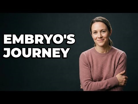 How Does an Embryo Travel to the Uterus?