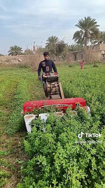 Efficient Soil Tilling Techniques for Crop Growth