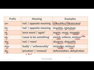 3B Vocabulary