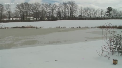 'It looks frozen, but it's not': Fire crews warn of dangers with thin ice