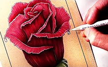 如何画一支玫瑰-LethalChris Drawing