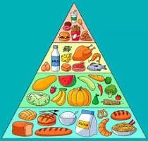 Food Pyramid and Values