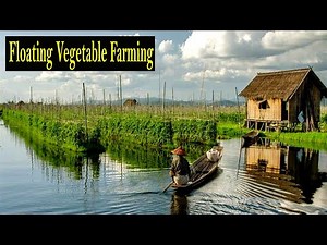 How to Start a Business Floating Vegetable Farming - Floating Garden Business Ideas Low Investment
