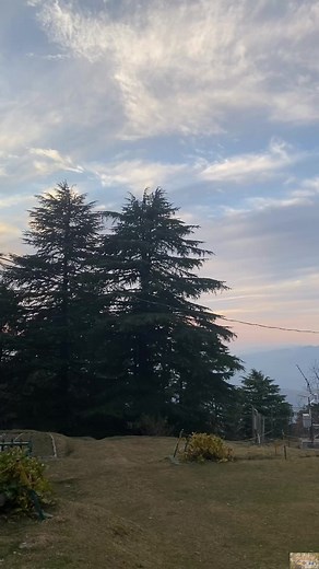 24K views · 658 reactions | Reality of life || shape up your life | Shape Up Your Life | Facebook