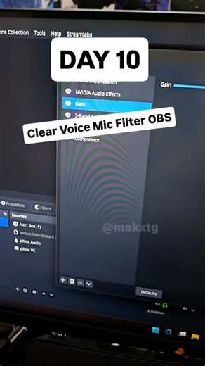 Day 10 🔥 OBS Mic Filters Telugu | Mic noise ela remove cheyali Clear Audio Setup Guide #telugu #gta5