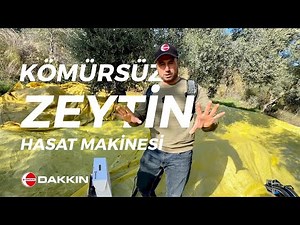 First Test of the New Dakkın Olive Oil Machine | Nedim Yıldız