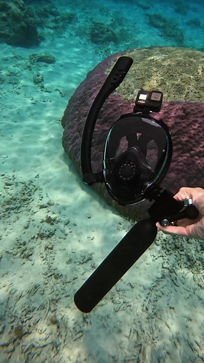 3M views · 10K reactions | Breathe Underwater With This Mask 錄 #diving #ocean #beach #snorkeling #watersports | Lung Tank | Facebook