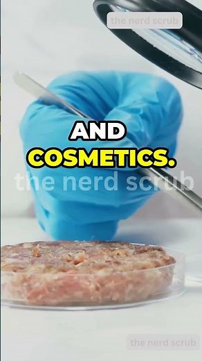 Top 5 Careers for Microbiology Students! #microbiologyjobs #Biotech #ClinicalMicrobiology