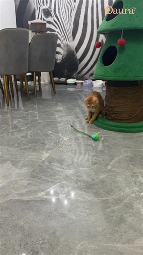 💤 Évitez l'ennui Gardez votre chat actif et diverti, même lorsque vous n'êtes pas à la maison. 😺 Réduit le stress Grâce à ses mouvements imprévisibles et ses activations régulières, ce jouet aide à calmer les chats anxieux. 🏃‍♂️ Stimule l'exercice Encourage votre chat à se dépenser, aidant ainsi à prévenir l'obésité. 🎯 Évite les obstacles Avec sa détection d’obstacles intégrée, le jouet change de direction dès qu'il rencontre un objet. 🤖 Interaction automatique Il se réactive au simple touc