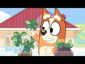 Get Outdoors with Bluey! | Bluey