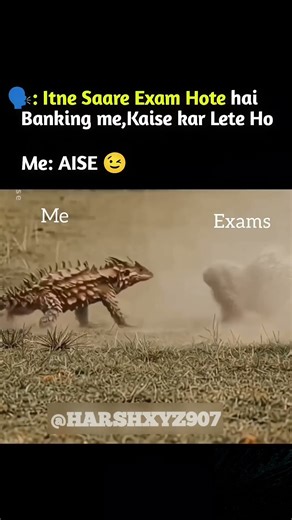 RRB PO Prelims 2025 | ibps rrb po exam 2025 | ibps clerk mains mock test #ibpsclerk #rrbpo2025 #ibps